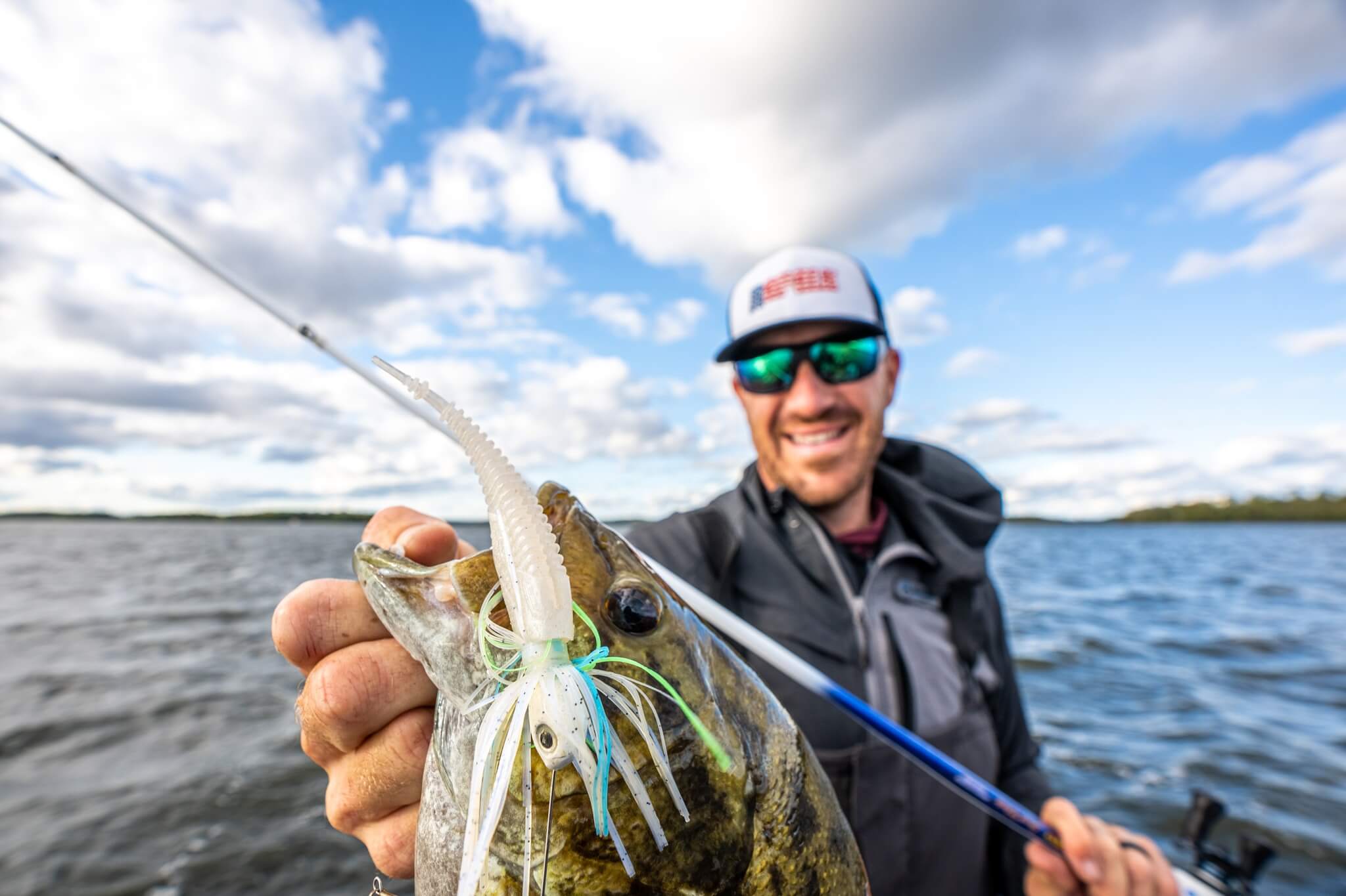 Un spinnerbait avec un trailer